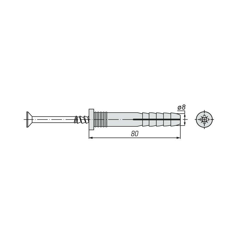 Дюбель-гвоздь SWFS 8L80 (125 шт)
